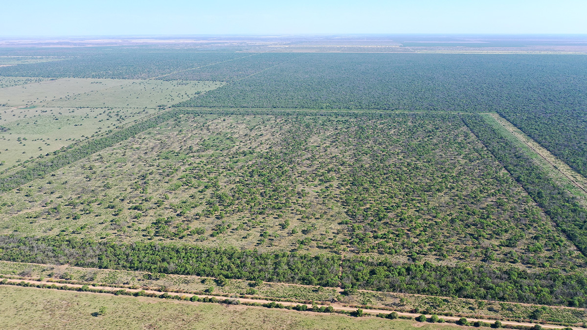 campo vista a&eacute;rea