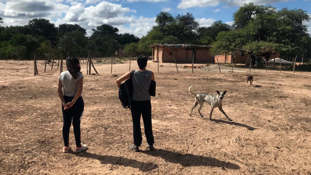 salta argentina campo