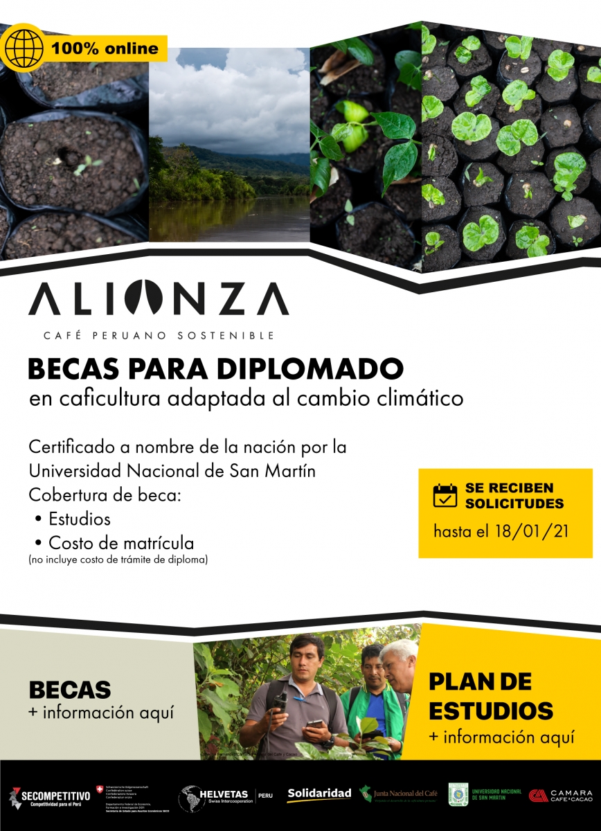 becas diplomado caficultura cambio clim&aacute;tico