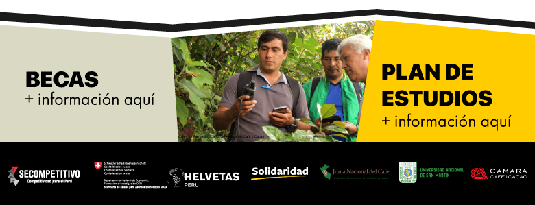 becas diplomado caf&eacute; sostenible per&uacute; afiche