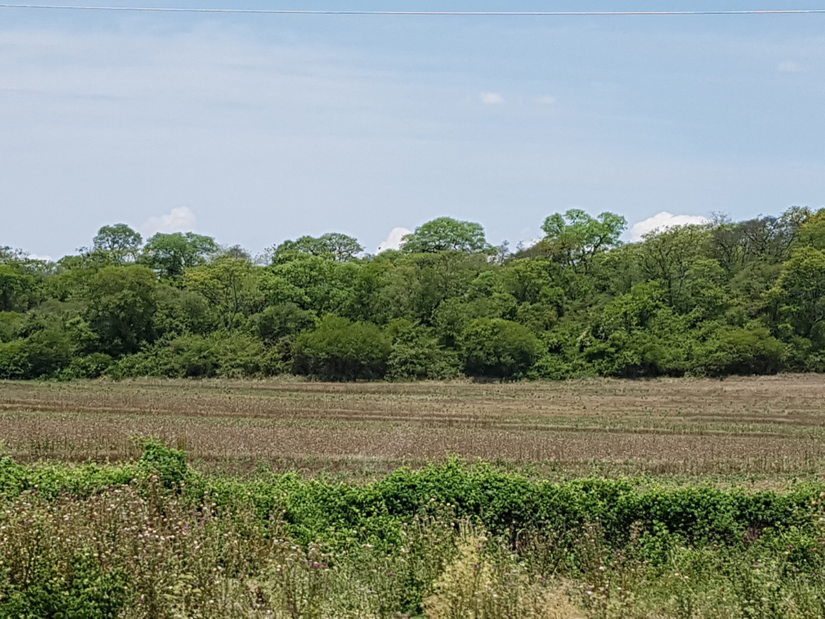 gran chaco paisaje soja
