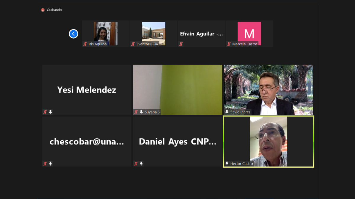 zoom palma sostenibilidad