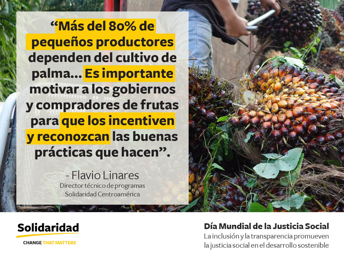 M&aacute;s del 80% de peque&ntilde;os productores dependen del cultivo de palma... Es importante motivar a los gobiernos y compradores de frutas para que los incentiven y reconozcan las buenas pr&aacute;cticas que hacen. - Flavio Linares