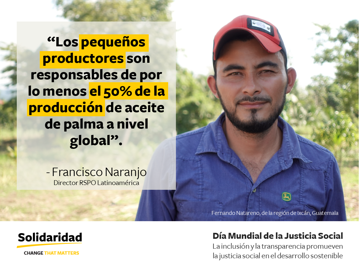 Los peque&ntilde;os productores son responsables de por lo menos el 50% de la producci&oacute;n de aceite de palma a nivel global. - Francisco Naranjo, Director RSPO Latinoam&eacute;rica En la foto aparece Fernando Natareno, de la regi&oacute;n de Ixc&aacute;n, Guatemala
