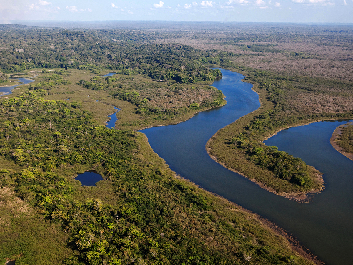 Foto por RMcNab, cortes&iacute;a de World Conservation Society, una vista a&eacute;rea de un humedal del Parque Nacional Laguna del Tigre.