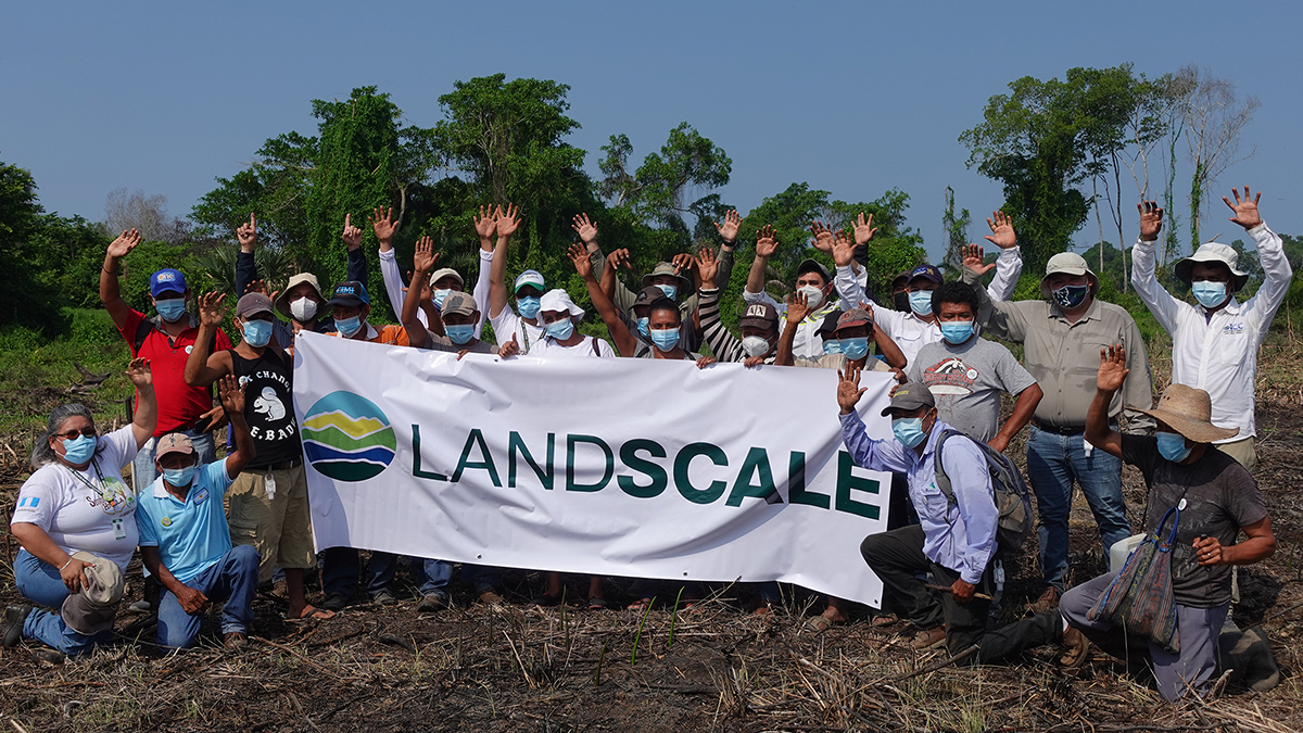 landscale guatemala