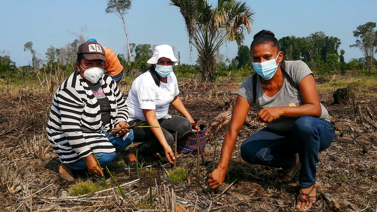 foto por C&eacute;sar Zacar&iacute;as-Coxic de miembros voluntarias de la comunidad de 31 de Julio participando en actividad de reforestaci&oacute;n