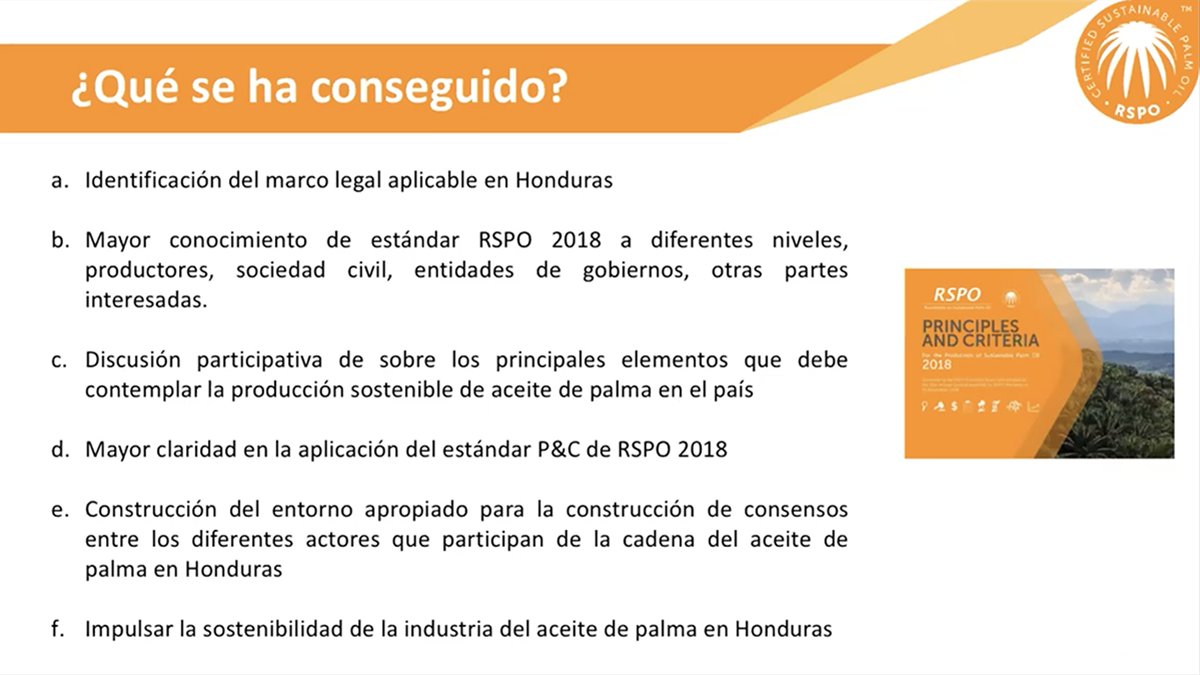 logros rspo honduras