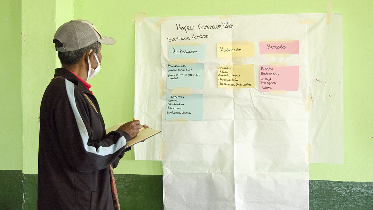 Mapeo de roles en la cadena de valor del s&eacute;samo en una comunidad ind&iacute;gena. Solidaridad