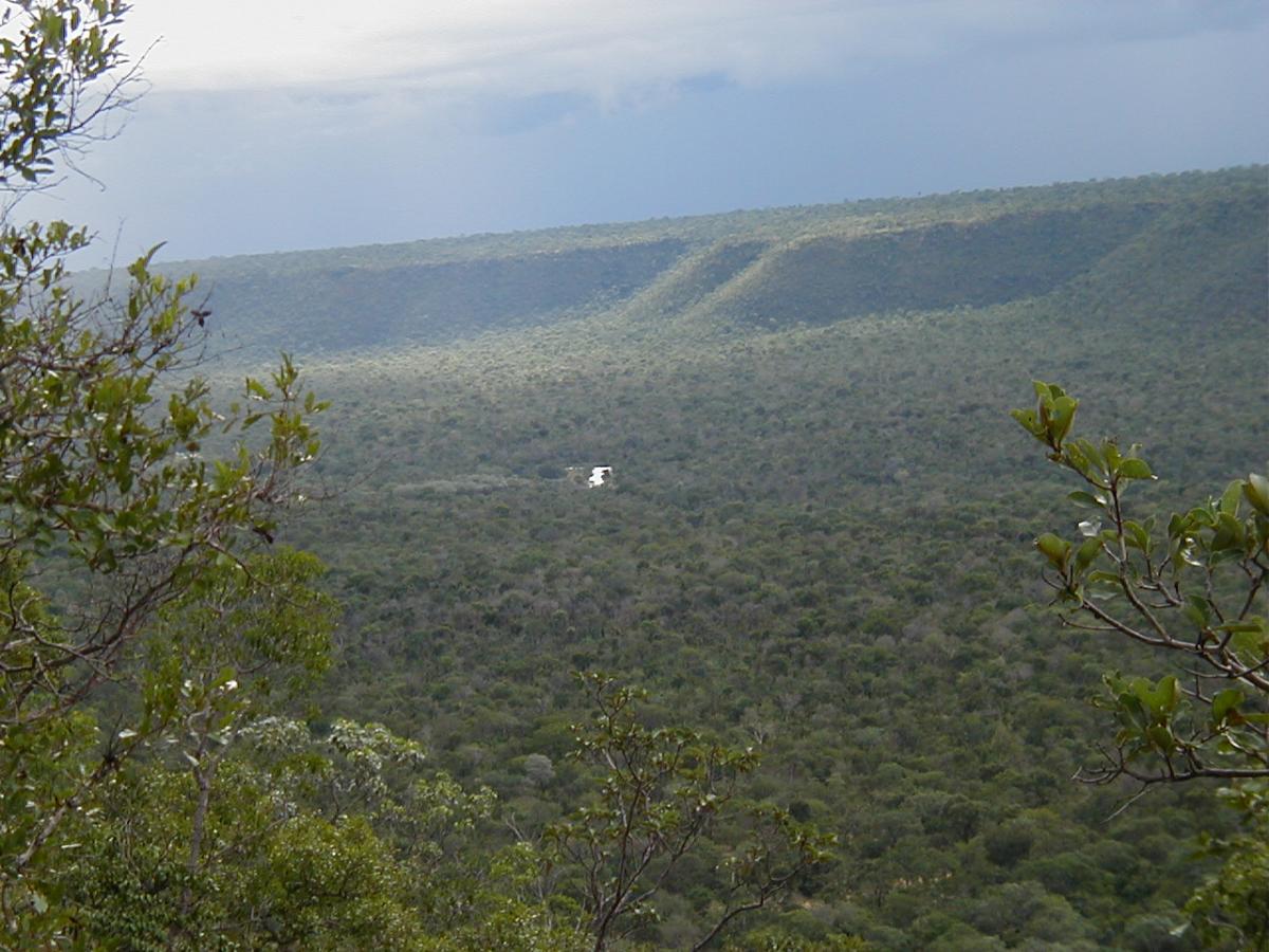 cerrado brasile&ntilde;o paisaje