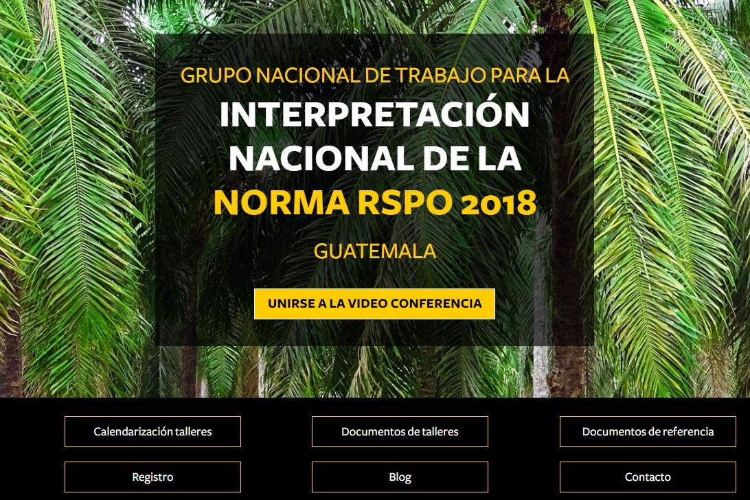 La documentaci&oacute;n del proceso de interpretaci&oacute;n nacional existe de manera transparente, colgada en los portales de RSPO y de Solidaridad [a trav&eacute;s de la plataforma MAPA].