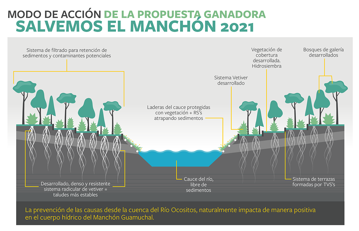 salvemos el manch&oacute;n gr&aacute;fico