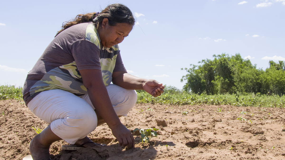 Mujer ind&iacute;gena sembrando. Solidaridad