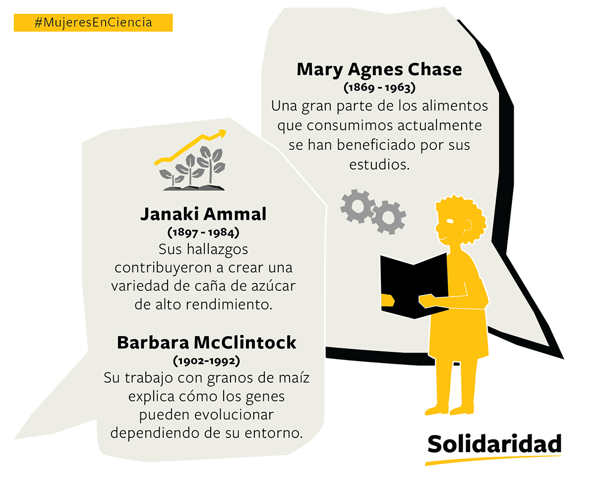 mujeres en ciencia gr&aacute;fico