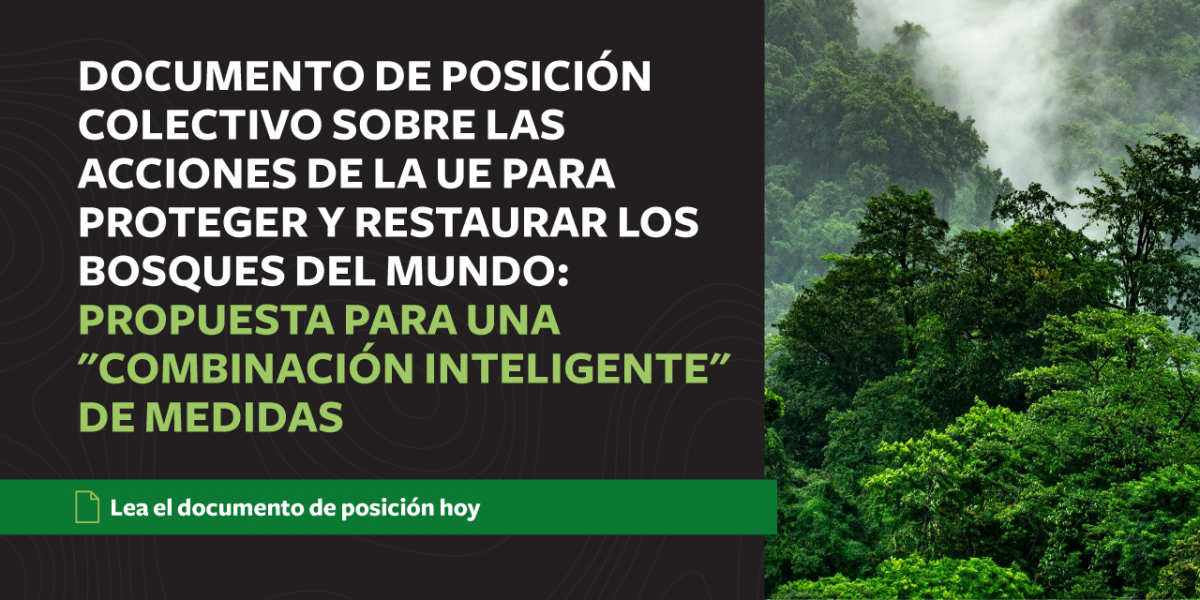 tfa uni&oacute;n europea