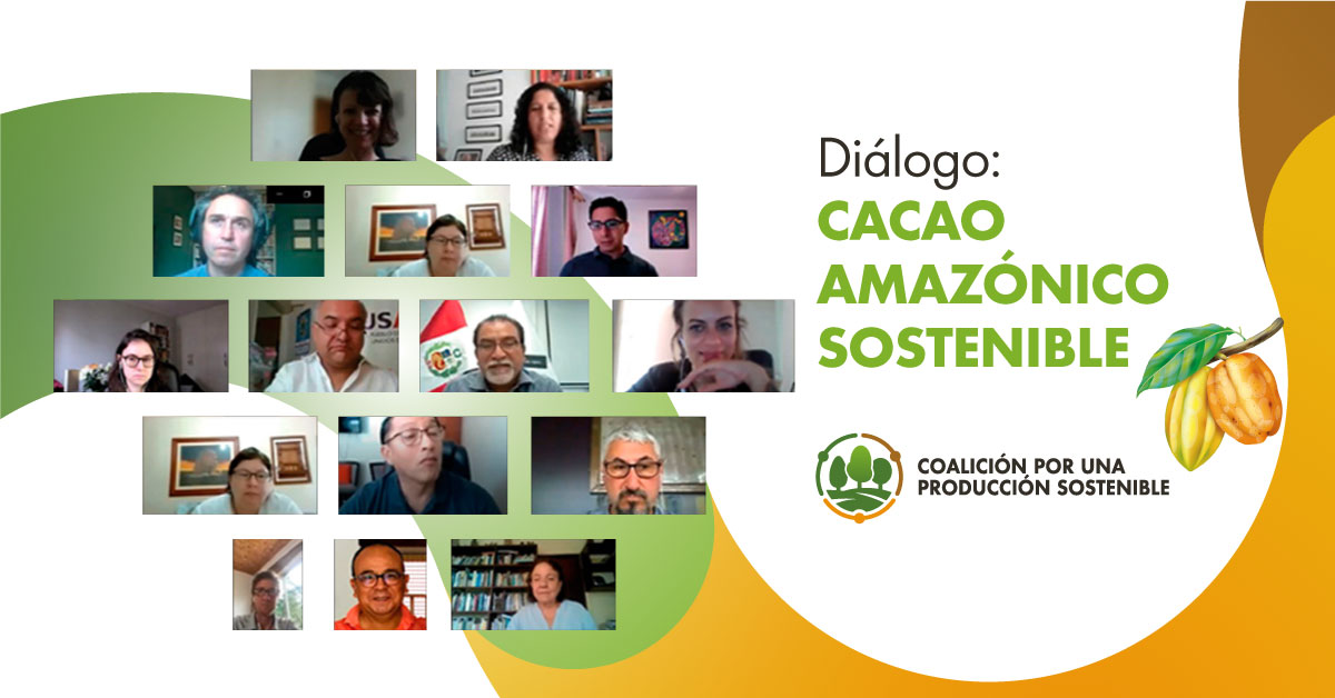 cacao amaz&oacute;nico sostenible zoom
