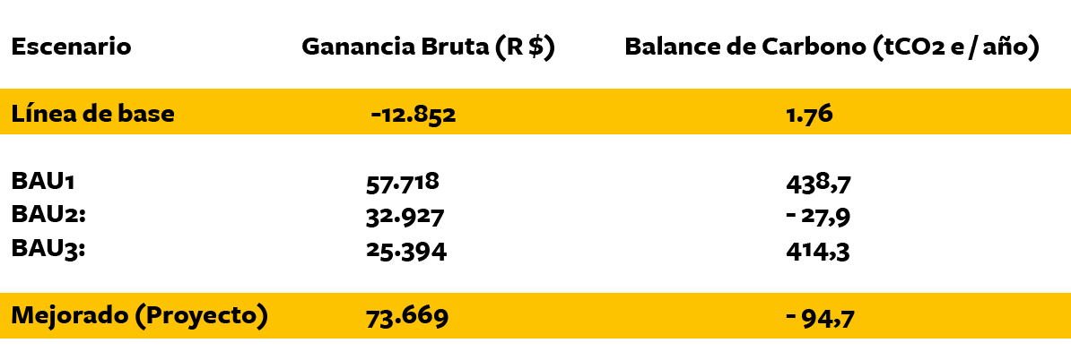 amazonia tabla balance de carbono