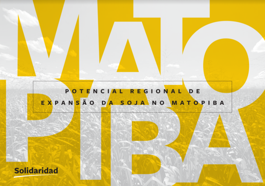 matopiba soja informe portada