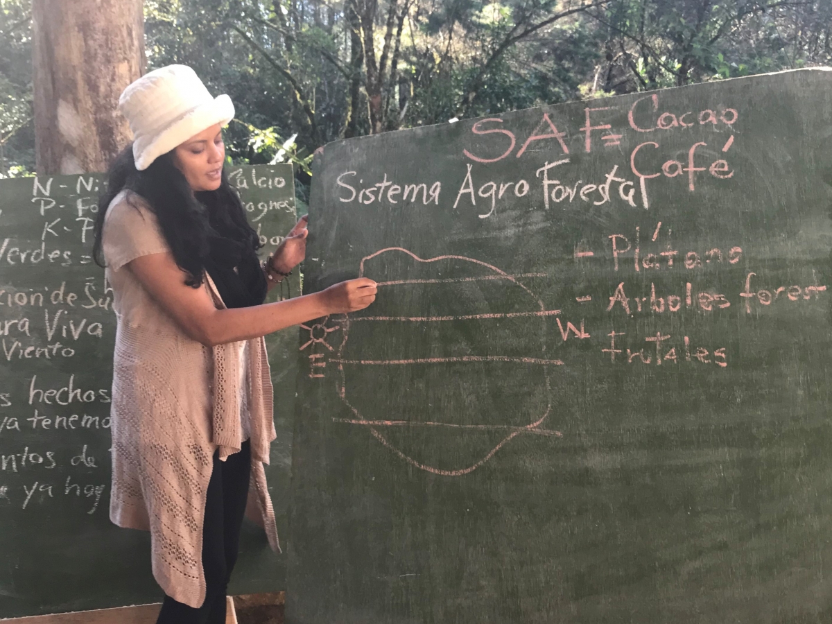 sistema-agroforestal-reduce-emisiones-formacion-inclusiva-solidaridad