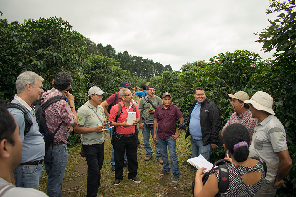 per&uacute; diplomado caf&eacute; sostenible