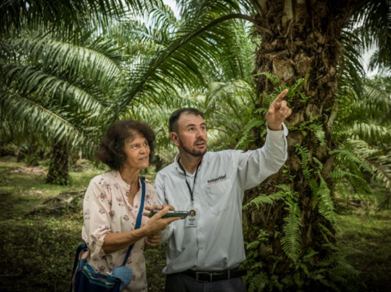 palma productora solidaridad visita