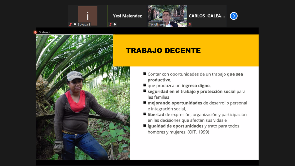 palma trabajo decente