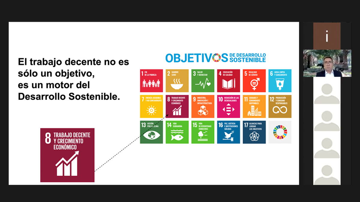 trabajo decente zoom