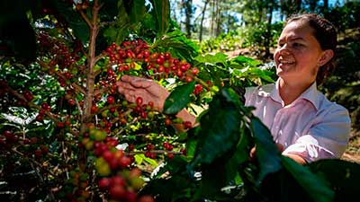 café productora mujer