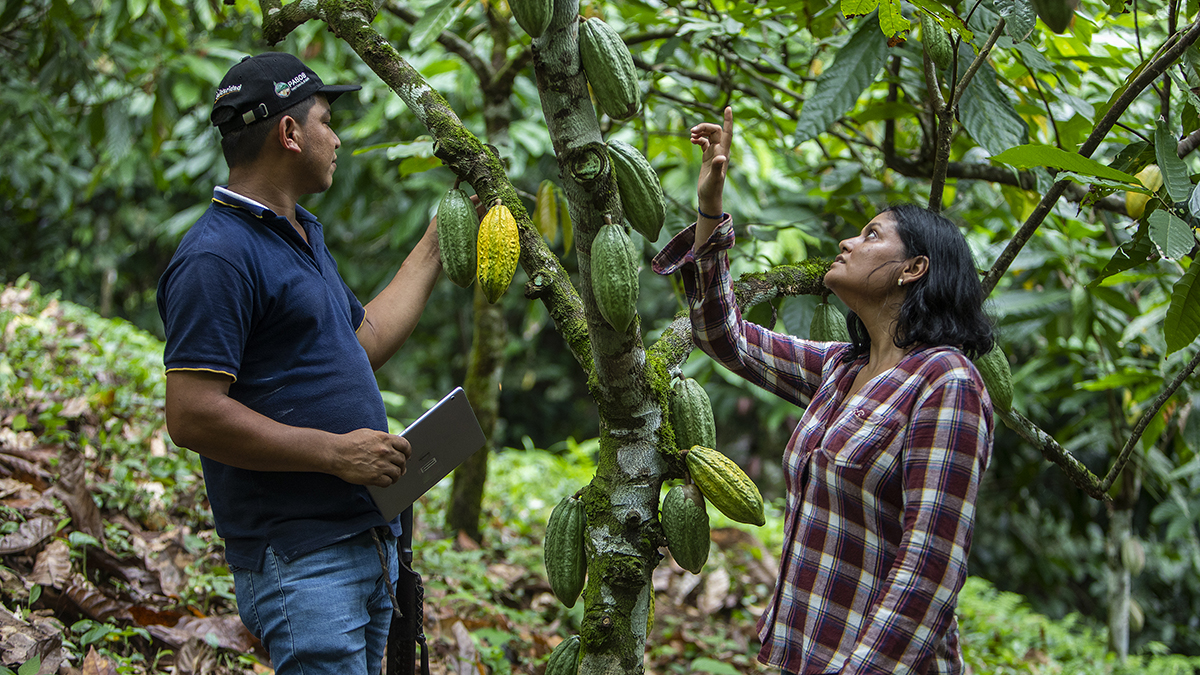 sistemas-agricolas-resilientes-al-clima-herramientas-digitales-solidaridad