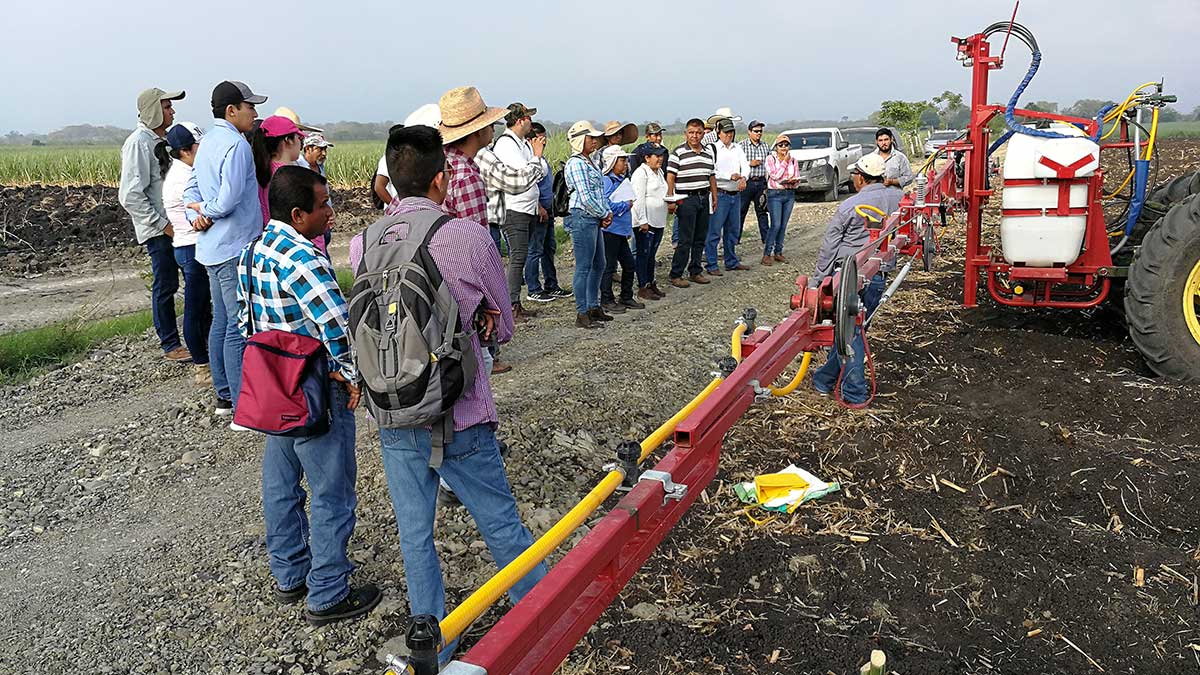 Peque&ntilde;os productores de ca&ntilde;a de az&uacute;car discuten control de malezas en una demostraci&oacute;n del programa MAS-CA&Ntilde;A.