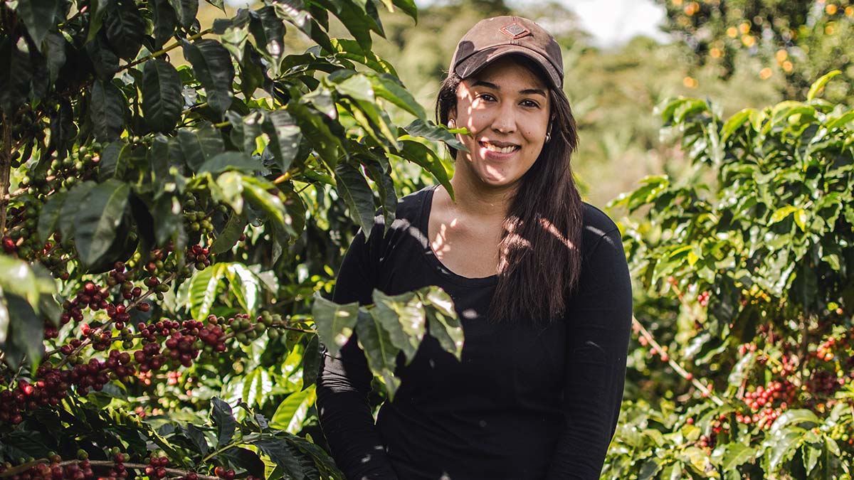 Es importante estudiar las din&aacute;micas laborales en caf&eacute; de El Salvador y Honduras y los dem&aacute;s pa&iacute;ses de Centroam&eacute;rica, pues miles de familias dependen de ingresos relacionados a la producci&oacute;n del caf&eacute;.