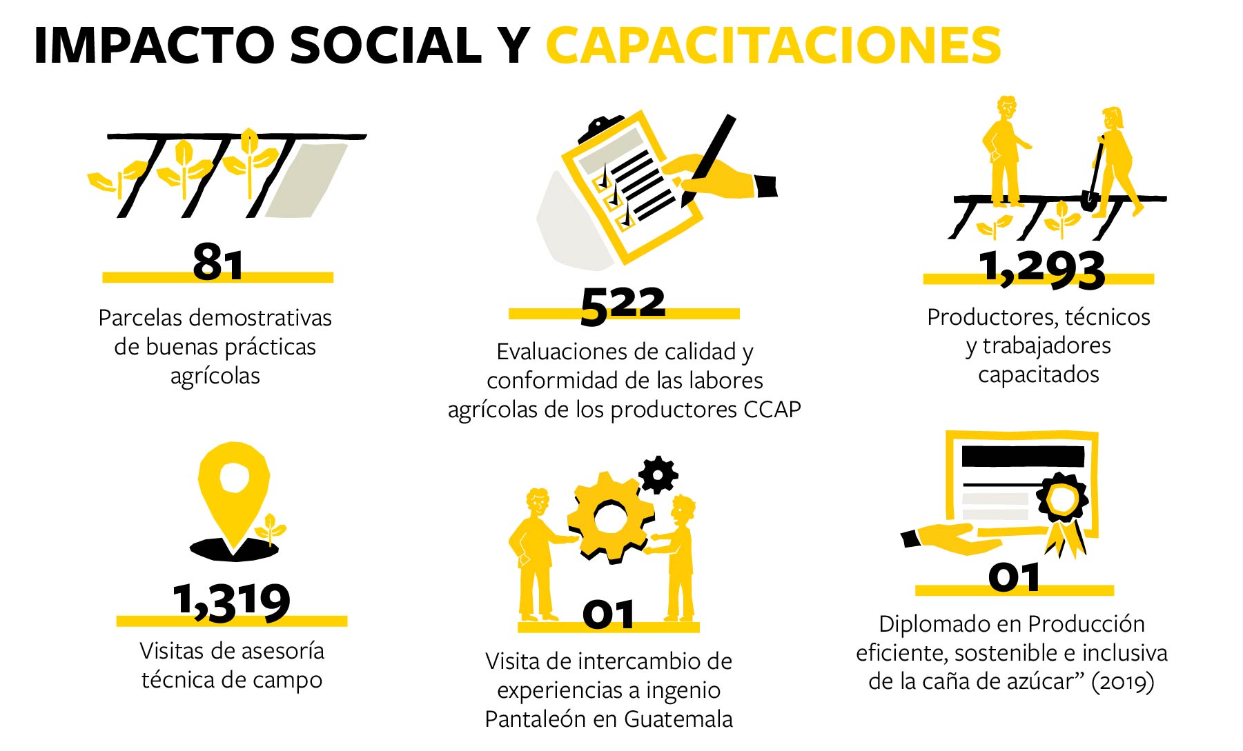 Gr&aacute;fico mostrando el impacto social y capacitaciones del piloto del programa MAS-CA&Ntilde;A.