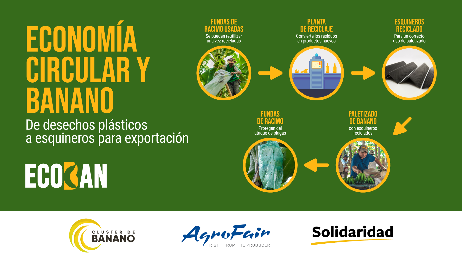 ECOBAN-TRANSFORMACION-RESIDUOS-BANANO_1920x1080 (3)
