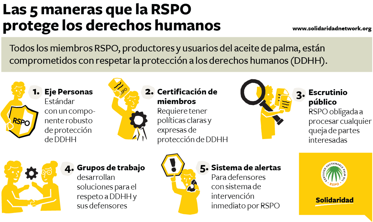 5-maneras-que-rspo-protege-los-ddhh-solidaridad-centroamerica