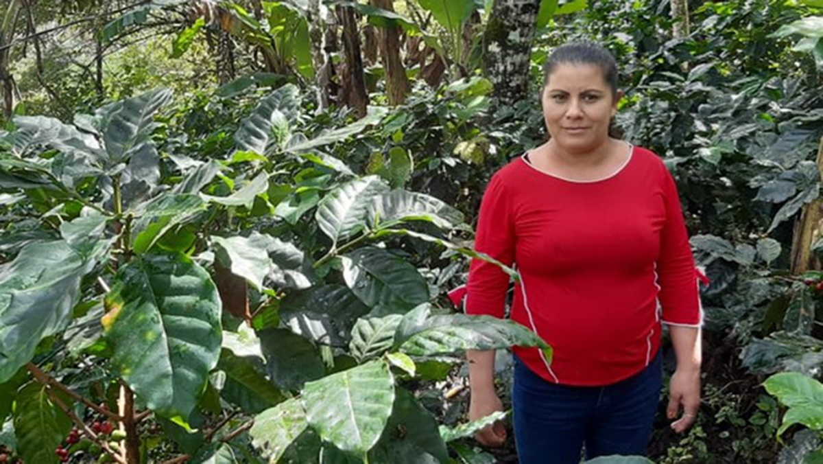 coffee-pilot-nicaragua