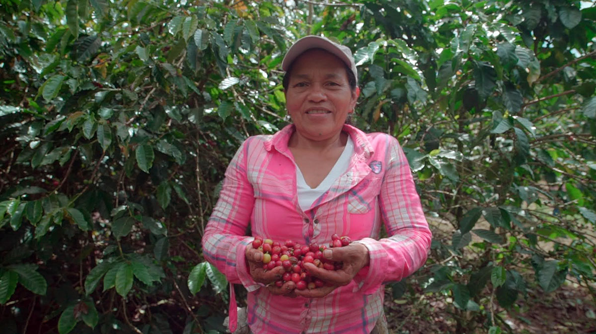 Cafe del Futuro. Solidaridad