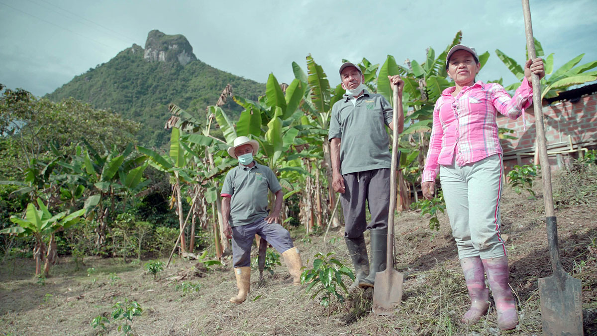 Cafe del Futuro, Solidaridad