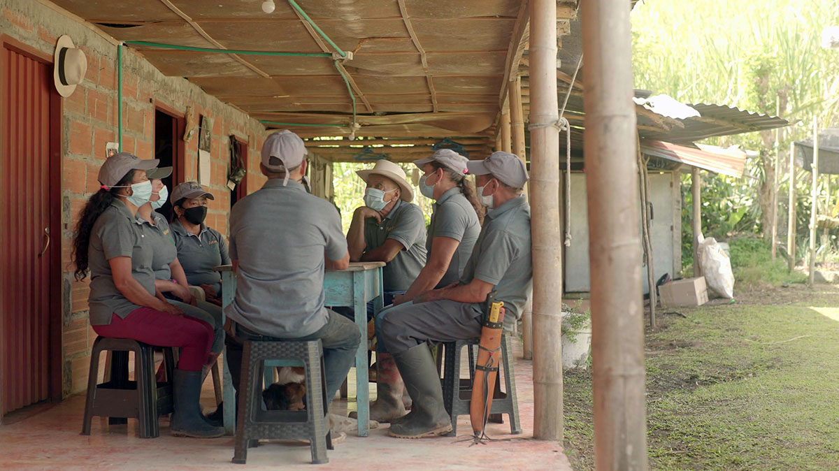 Cafe del Futuro, Solidaridad.
