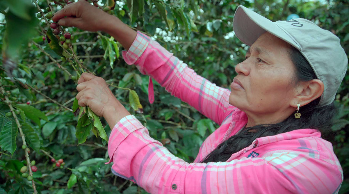 Cafe del Futuro, Solidaridad.