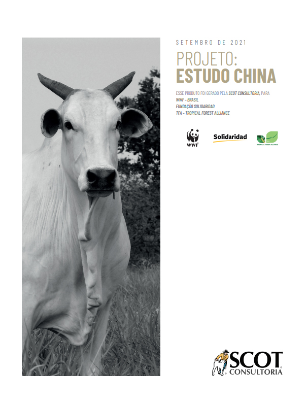 Estudo China Estudo China