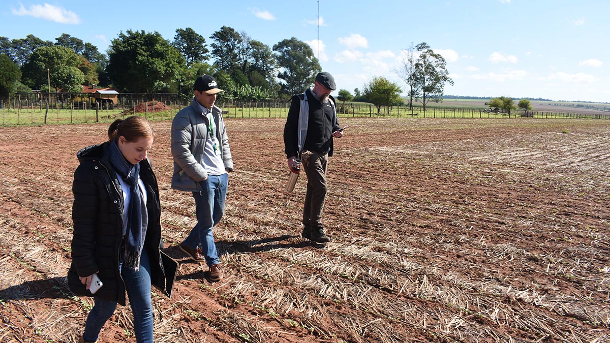 campo con rastrojo en TRACTUR SACI, Paraguay
