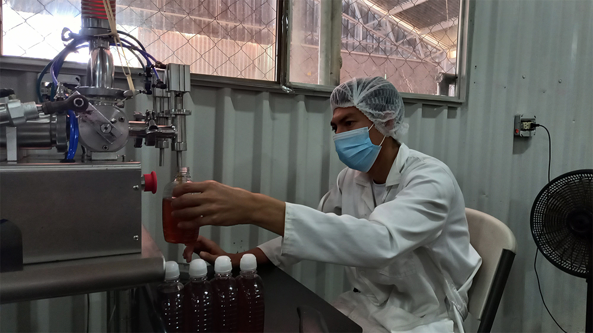 PlusPlus-Empresa-Apicola-Pymes