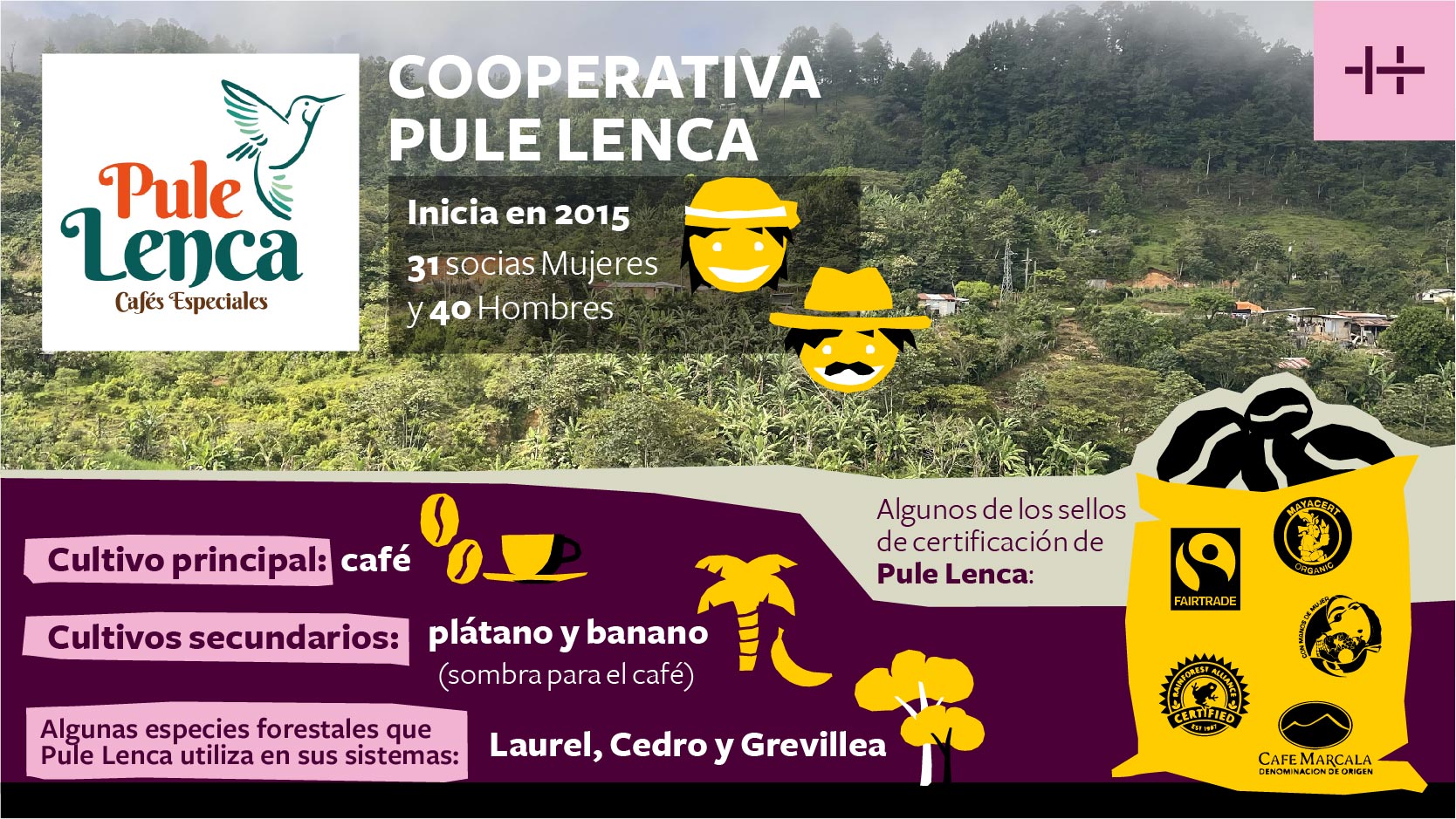 PlusPlus-Pule-Lenca-Bio-Honduras