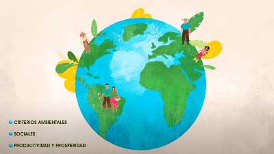 incas global gráfico