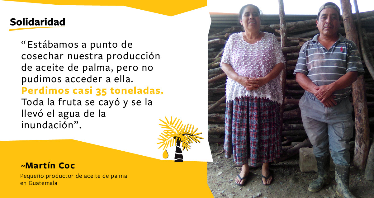 Martín-Coc-Solidaridad-Cita-Huracan-Guatemala-Eta-Iota-Asistencia-Proyecto-Productor-Palma