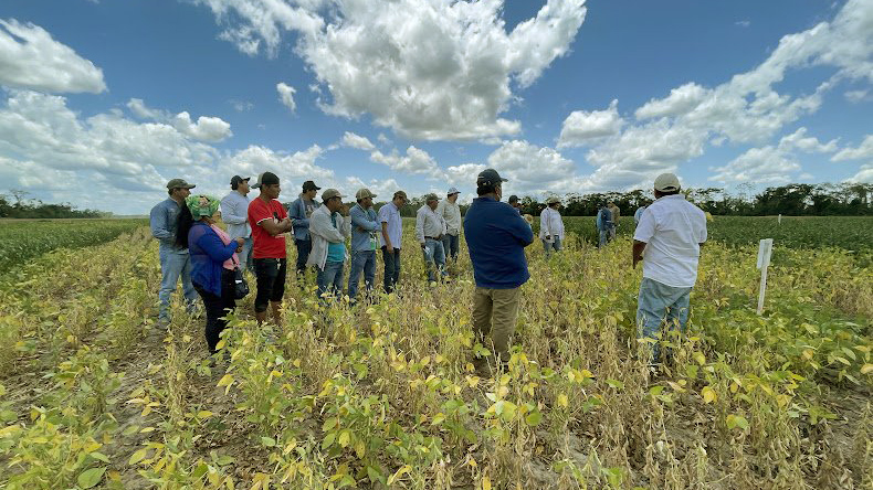 Proyecto LIF Bolivia y Paraguay, Solidaridad