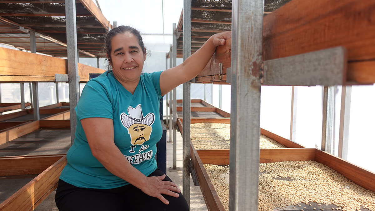 Solidaridad-Café-Honduras-Elda-Género-Caficultora-Familia-Sostenible-Capucas-Herramientas Digitales-Mujer-Productora-Resiliencia