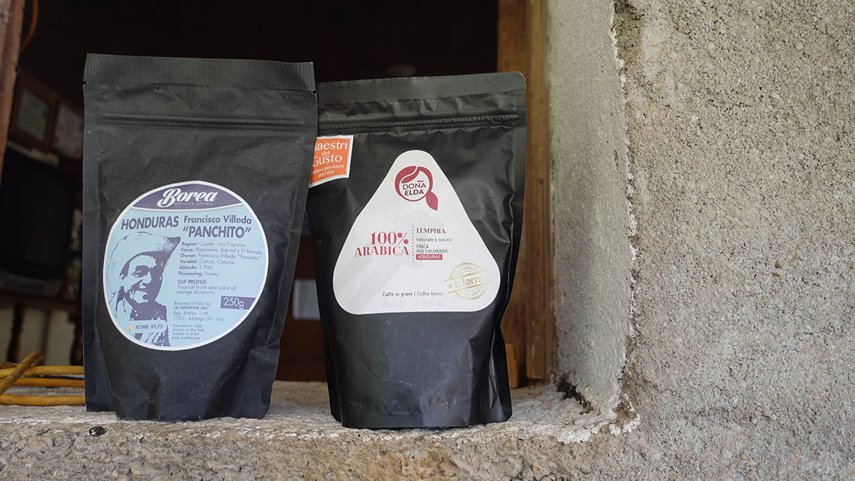 Solidaridad-Café-Resiliente-Sostenible-Honduras-Trazable-Panchito-Elda-Familia-Programa-Herramienta-Digital