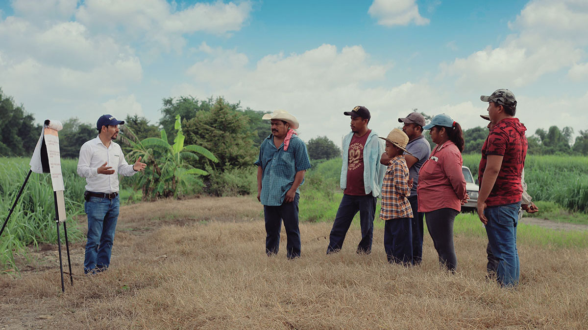 Solidaridad-Caña-Azúcar-Bonsucro-Awards-Sostenible-Buenas-Prácticas-Bayer-Panuco-Pantaleon