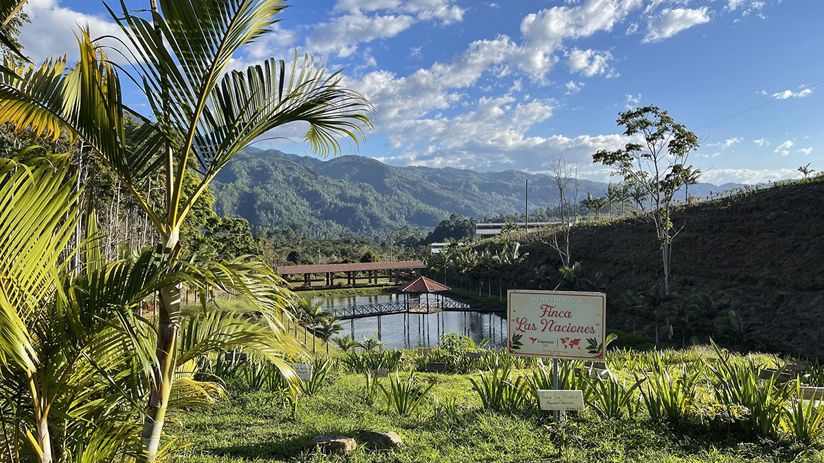 olidaridad-Capucas-Café-Paisaje-Sostenibilidad-Panchito-José-Villada-Héroe-Trazabilidad-Sostenibilidad-Productores-Café